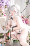 【2025年1月新品】大奶肥臀一线天，尤物女神【Tiny Asa】高清付费原档，Nikke灰姑娘