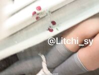 Twitter na sobrang ganda ng puting tigre beauty girl [Litchi_sy] 520 threshold welfare sobrang lambing
