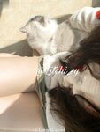 Twitter na sobrang ganda ng puting tigre beauty girl [Litchi_sy] 520 threshold welfare sobrang lambing