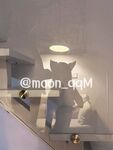 白虎粉穴萝莉『狐骨moon_qqM』户外露出超嫩小穴自慰出白浆，肥嫩一线天白虎嫩B渴望被大鸡巴爸爸操