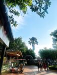 [New Flow in 2025] Shenzhen Chinese-Vietnamese Internet Celebrity [Hatano] View welfare, high-value peripheral socialite, rich people's plaything