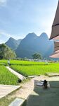 [New Flow in 2025] Shenzhen Chinese-Vietnamese Internet Celebrity [Hatano] View welfare, high-value peripheral socialite, rich people's plaything