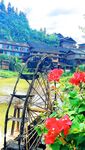 [New Flow in 2025] Shenzhen Chinese-Vietnamese Internet Celebrity [Hatano] View welfare, high-value peripheral socialite, rich people's plaything