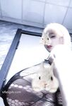 [2025 New Stream] Người nổi tiếng trên mạng Weibo, Nữ hoàng BBW ngực khủng và mông to [Charming CUi] Quyền lợi VIP, Vẻ đẹp con người, Thủ dâm bằng đạo cụ