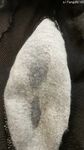 抖音B站双视主播，刷礼物才能看到的福利，嫩穴在透明椅子上随着蜜臀的摆动左拉右扯
