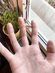 抖音B站双视主播，刷礼物才能看到的福利，嫩穴在透明椅子上随着蜜臀的摆动左拉右扯