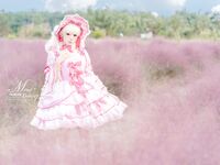 Yiko Wet Rabbit - 25.01 งาน "Velvet Powder" Little Dance