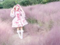 Yiko Wet Rabbit - 25.01 งาน "Velvet Powder" Little Dance
