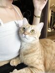 萬狼求檔OnlyFans斯文眼鏡反差小姐姐【deerlong】私拍合集,極品中的極品天生的肉便器,純情少女展現精湛口活兒口爆吞精