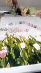 【喵先生】调教母狗教材！大神收徒弟传授调教开发母狗经验实战调教性爱母狗教学！清纯小妹妹大鸡巴下变成淫荡的骚母狗