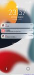 【喵先生】调教母狗教材！大神收徒弟传授调教开发母狗经验实战调教性爱母狗教学！清纯小妹妹大鸡巴下变成淫荡的骚母狗