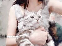 AT Shark– NO.019 รูปภาพเบ็ดเตล็ด