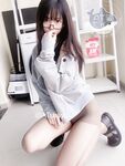 AT Shark– NO.028 Royal Sister Shark 