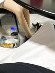 推特极品白虎萝莉『kitty不吃鱼』一字马紫薇被男主调教啪啪乖的狠！超嫩可爱人形小母狗被操的叫爸爸下