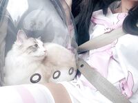 推特极品白虎萝莉『kitty不吃鱼』一字马紫薇被男主调教啪啪乖的狠！超嫩可爱人形小母狗被操的叫爸爸下