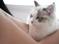 推特极品白虎萝莉『kitty不吃鱼』一字马紫薇被男主调教啪啪乖的狠！超嫩可爱人形小母狗被操的叫爸爸下