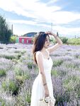 【Heavy Nuclear Bomb】Leak Group will update many top beauties in June