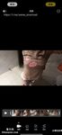 팔로워 145만 명을 보유한 더우인 인플루언서 @InvincibleTyrannosaurusWarGod(샤오야팅)의 비공개 위챗 모멘트 영상 모음입니다.