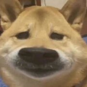 **3456159