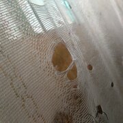 **vahp20120806