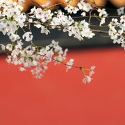 **dfghjkl368564998456