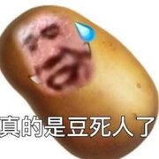 **��ga ga ha