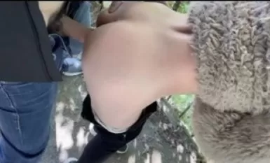 [Nhật ký tình dục đô thị phiêu lưu] Trở về khu rừng tình dục tự nhiên và đi sâu vào khu rừng tình dục, quỳ xuống và liếm cặp mông xinh đẹp không dùng bao cao su từ phía sau