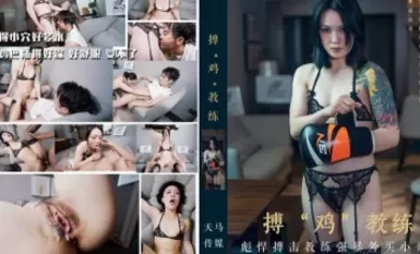 天馬傳媒 搏雞教練