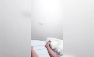 【ニャンニャンキング】超美桃尻生ハメ生姦中出しSEX（1）