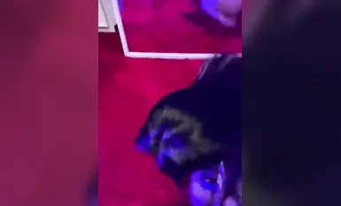 母狗跪在地上，_被爸爸一耳光扇飛