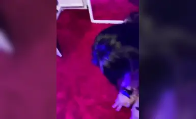 母狗跪在地上，_被爸爸一耳光扇飛