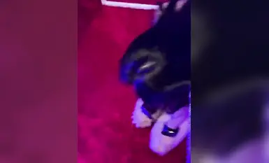 母狗跪在地上，_被爸爸一耳光扇飛