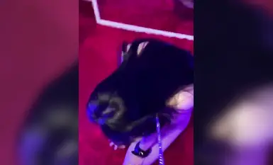 สุนัขตัวเมียคุกเข่าลงกับพื้นแล้วโดนพ่อตบ