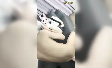 【情侶日記】 白絲少蘿