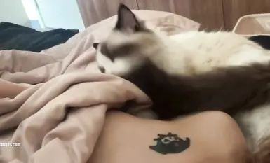 สาวสวยที่เกิดในยุค 2000 ถูกวางยาโดย MJ ลูกชายเจ้าของบ้าน แล้วเอามือล้วงเข้าไปในช่องคลอดของเธอ อวัยวะเพศของเธอเต็มไปด้วยน้ำอสุจิ และทวารหนักของเธอก็ไม่เว้น (2)