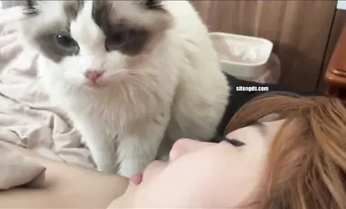 สาวสวยที่เกิดในยุค 2000 ถูกวางยาโดย MJ ลูกชายเจ้าของบ้าน แล้วเอามือล้วงเข้าไปในช่องคลอดของเธอ อวัยวะเพศของเธอเต็มไปด้วยน้ำอสุจิ และทวารหนักของเธอก็ไม่เว้น (2)