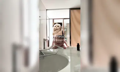 【Q 셴센】차 안에서 오럴섹스를 한 후 호텔로 데려가서 섹스했어요 (1)