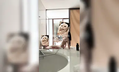 【Q 셴센】차 안에서 오럴섹스를 한 후 호텔로 데려가서 섹스했어요 (1)