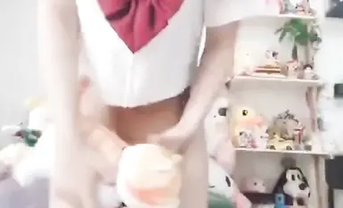 Top quality white tiger loli (1)