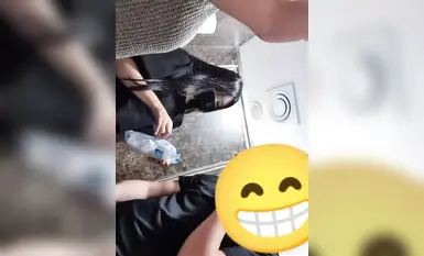 韩国大叔车上楼道天台口交秘境：清纯学生妹的热情一吻，揭露空间里的激情狂潮(8)