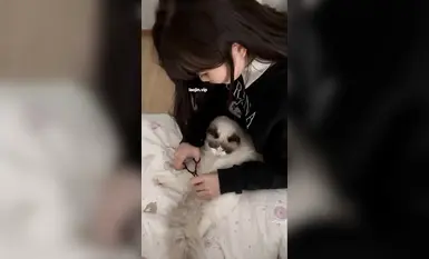 Bercinta dengan loli kecil kelahiran tahun 2004 yang tulen