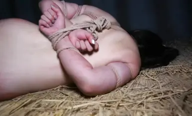 Plot alternatif: Episod 3 "New Rouge: The Torture After Arrest" menampilkan seorang wanita muda yang menawan yang mengalami penyeksaan teruk dan pelbagai bentuk penderaan, namun dia enggan mengaku dalam apa jua keadaan, dengan dialog yang menari