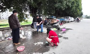 人気インターネットセレブの[cikaimoon]が、日中に広西チワン族自治区の路上で目撃された。多くの若い男性が、彼女が赤い帽子と黒い網を身に着け、道端にいる高齢の男性を誘惑しようとしているのを目撃した。