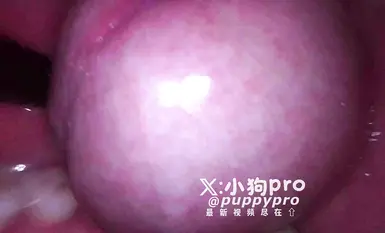 推特硬核花式调教博主【小狗pro】合集，花式硬核调教,拳交玩穴巨根震动,还有尿道开发，这样会把小穴玩坏的(16)