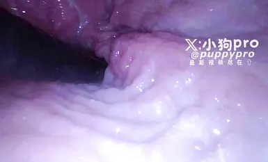 推特硬核花式调教博主【小狗pro】合集，花式硬核调教,拳交玩穴巨根震动,还有尿道开发，这样会把小穴玩坏的(7)