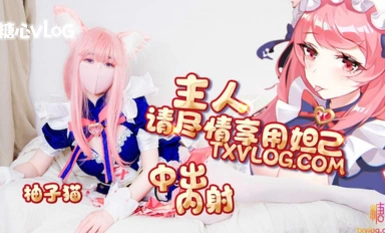 シュガーハート Vlog 大慈マスター お楽しみください 大慈グレープフルーツキャット