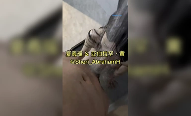 PENTHOUS China's top model Xia Xiyao's best private photos of sex with her husband are lewd but beautiful HD (20)