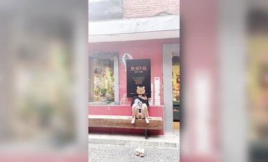 최고의 노출 아티스트 인 나나는 이제 최신 미친 노출을 과시하고 있습니다. 그녀는 마치 아무도없는 것처럼 길을 걸으며 사람들 앞에서 온갖 종류의 물건을 과시 할만큼 대담하고 정말 매달려 있습니다 (4).