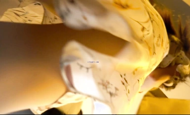 美女聚集地橫掃商場步行街極限抄底各種類型風格小姐姐裙底 (34)