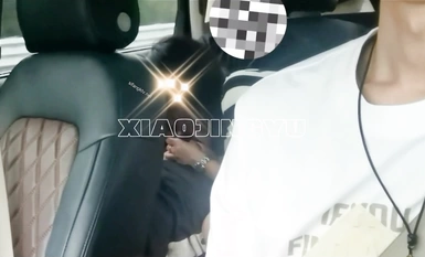 ベスト・オブ・ベスト：人気ポルノスターの作品集『リトル・ホエール』4（9）